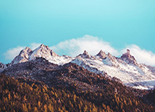 迪亚斯处子秀建功头槌定乾坤 延续若塔式庆祝引爆安联