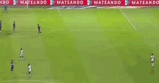 31.gif